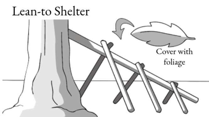 Lean-to Shelter